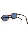 Cinque | Tortoise