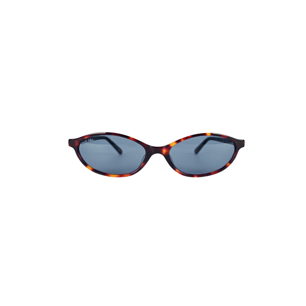 Gatta | Tortoise
