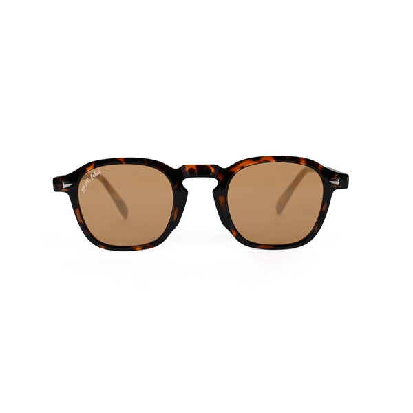 Palermo | Tortoise