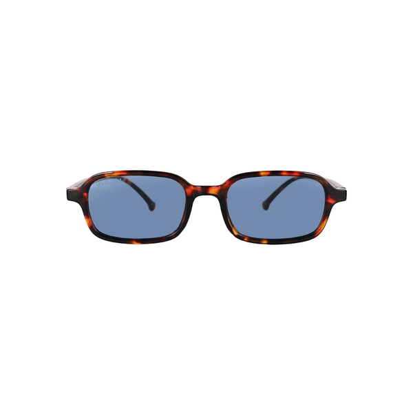 Cinque | Tortoise